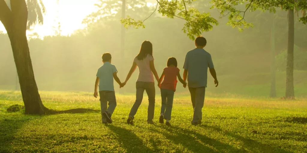 How Does Your Environment Affect Your Wellness?